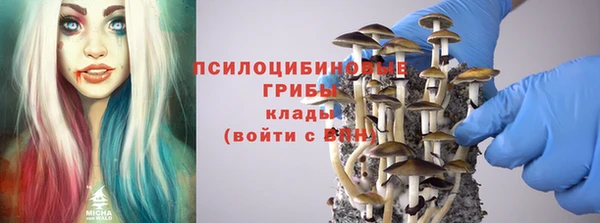 стафф Навашино