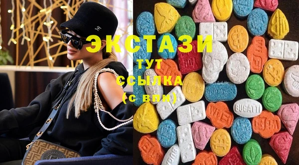 стафф Надым