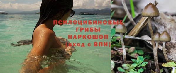 стафф Навашино